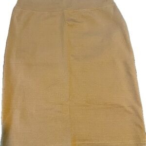 Chic Tan Pencil Skirt